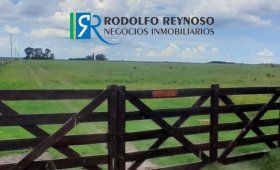 100 ha - Concepción del Uruguay